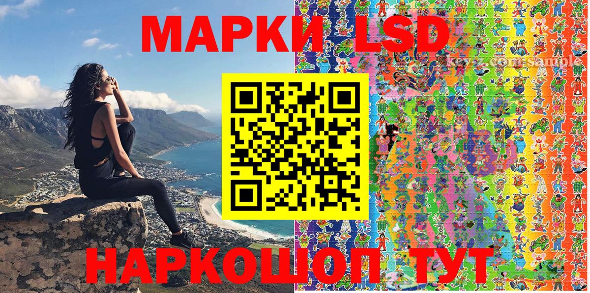 Псилоцибиновые грибы Сертолово