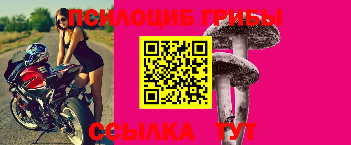 Галлюциногенные грибы Cubensis  Вход с VPN  Сертолово 