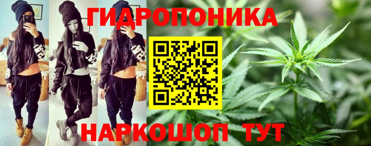 Бошки Шишки Amnesia Сертолово